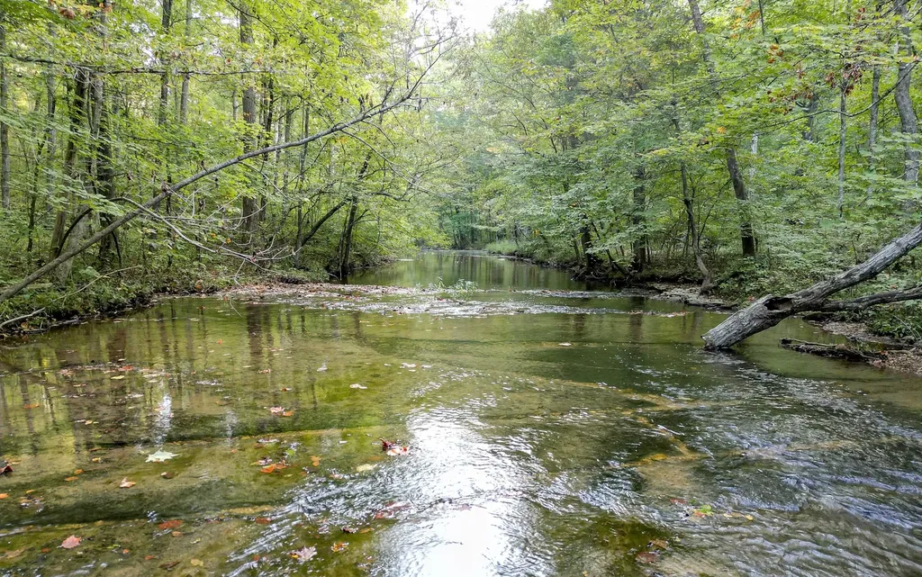 1 Ccc Road Fairview TN 37062