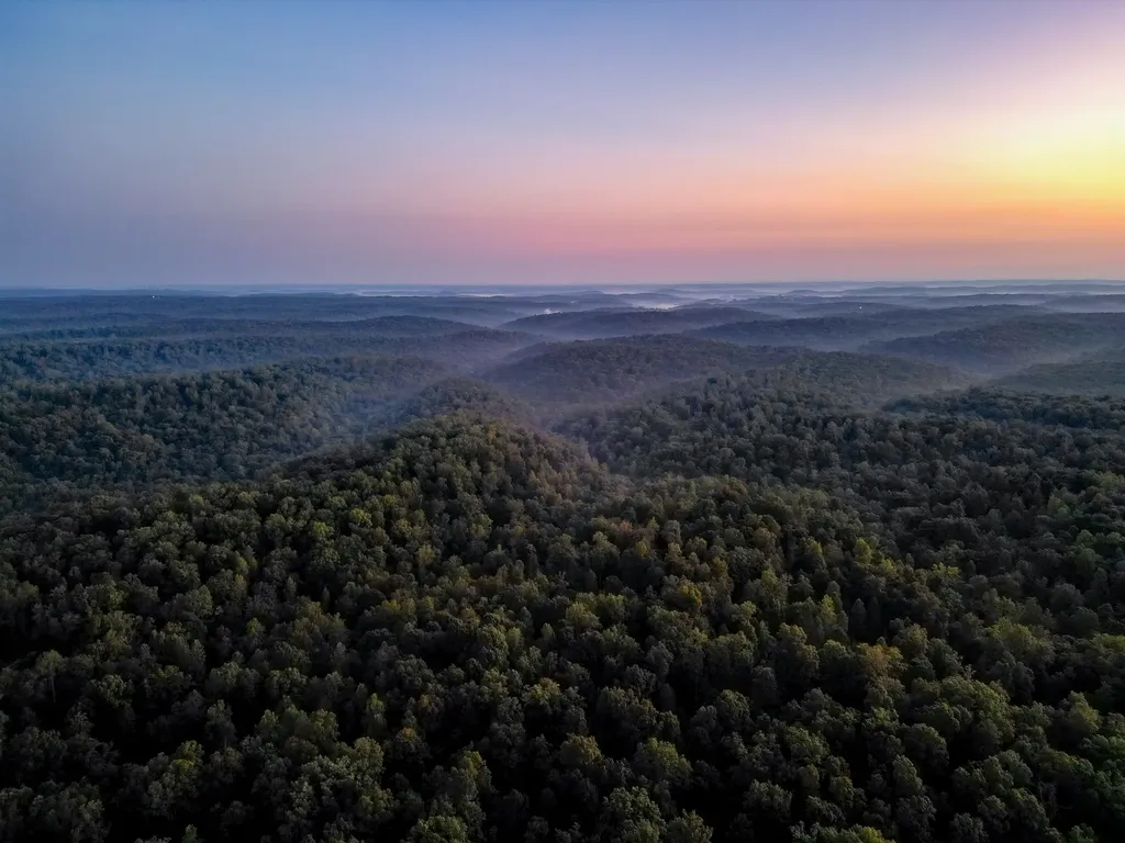 1 Ccc Road Fairview TN 37062