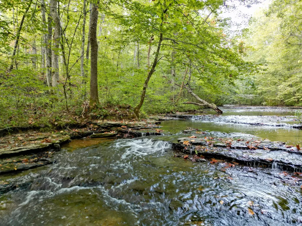 1 Ccc Road Fairview TN 37062