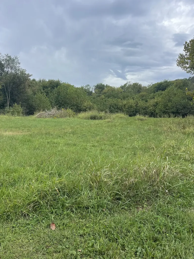 17366 Clay County Highway Red Boiling Springs TN 37150