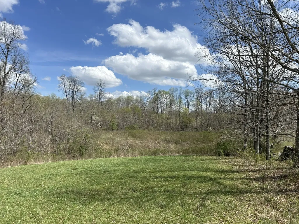 12343 Griffith Road Pikeville TN 37367