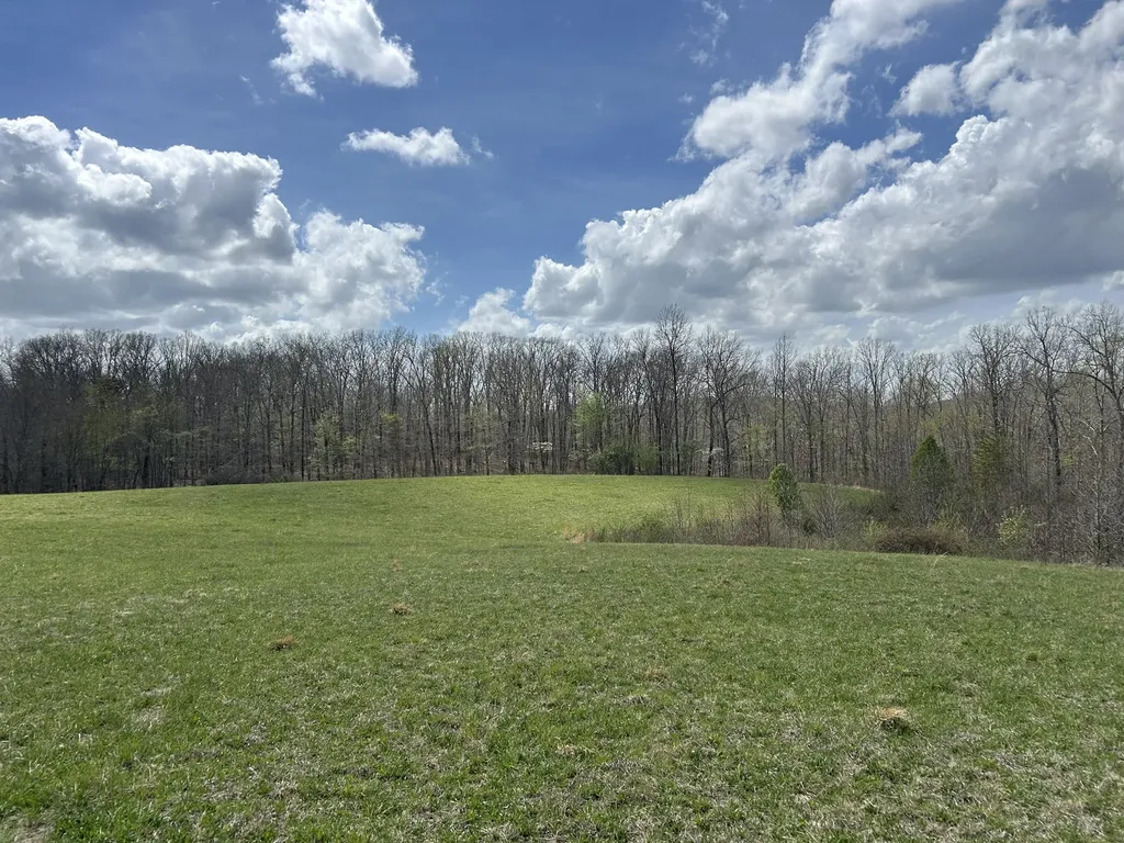 12343 Griffith Road Pikeville TN 37367