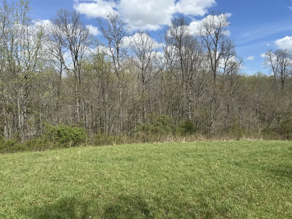 12343 Griffith Road Pikeville TN 37367