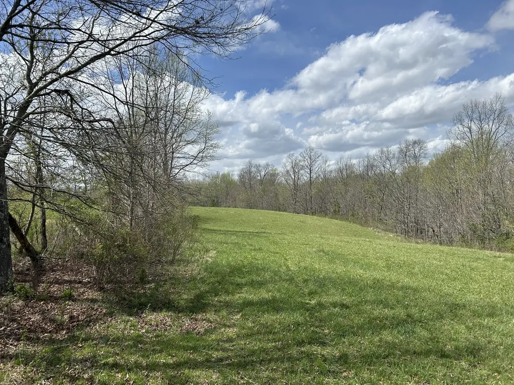 12343 Griffith Road Pikeville TN 37367