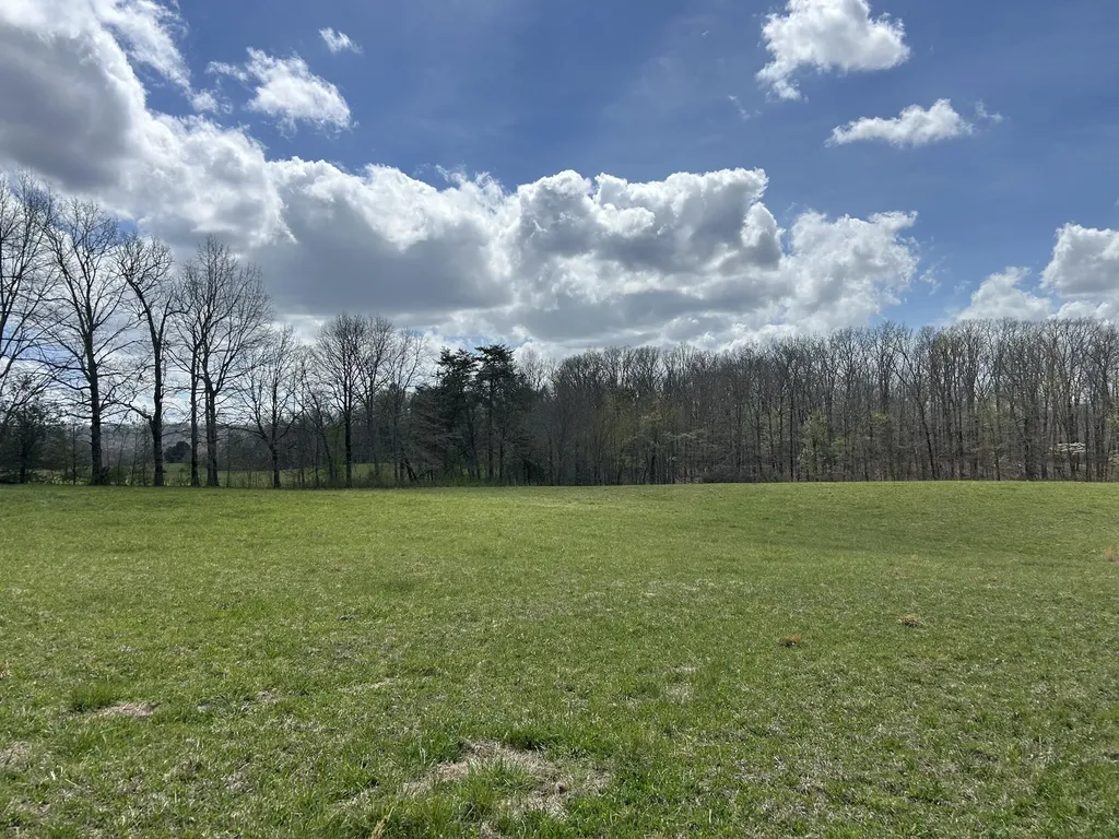 12343 Griffith Road Pikeville TN 37367