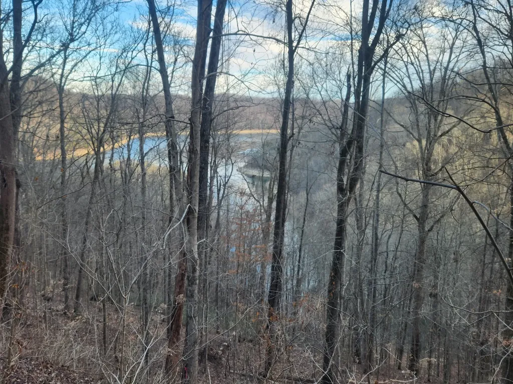 1 Antler Drive Smithville TN 37166