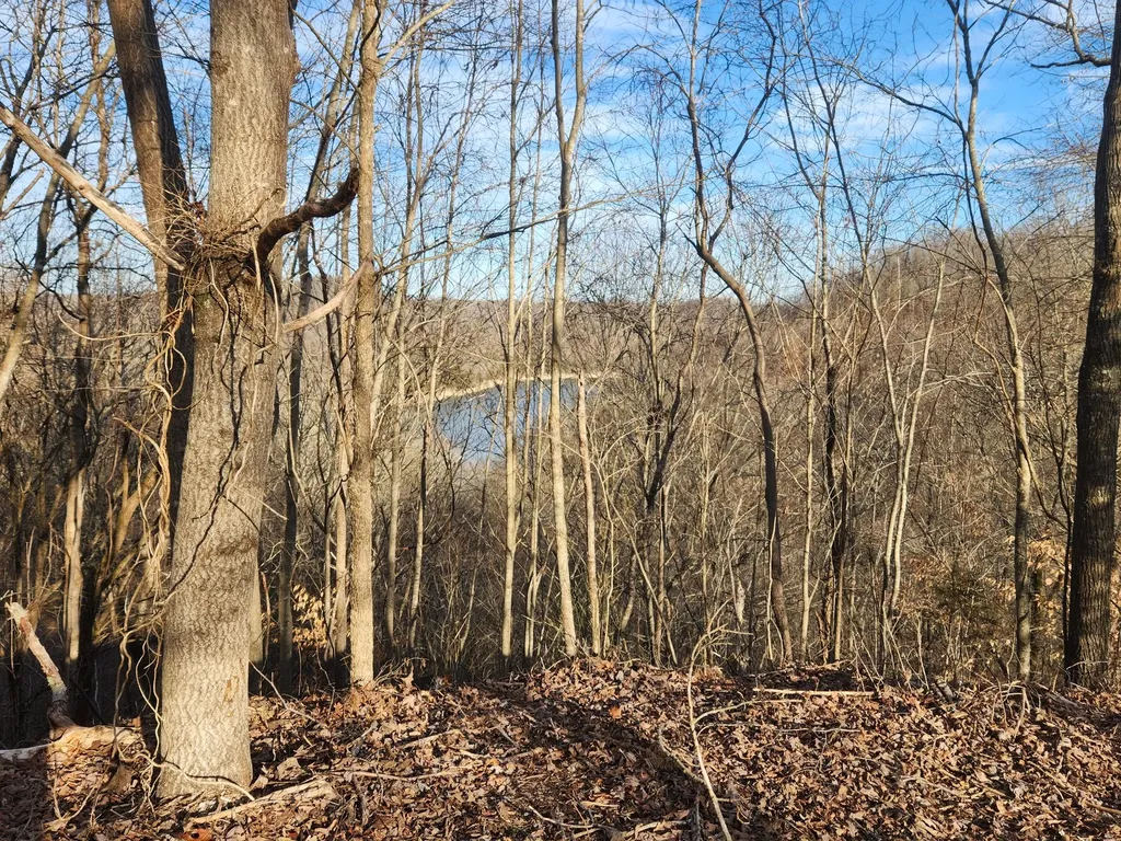 1 Antler Drive Smithville TN 37166
