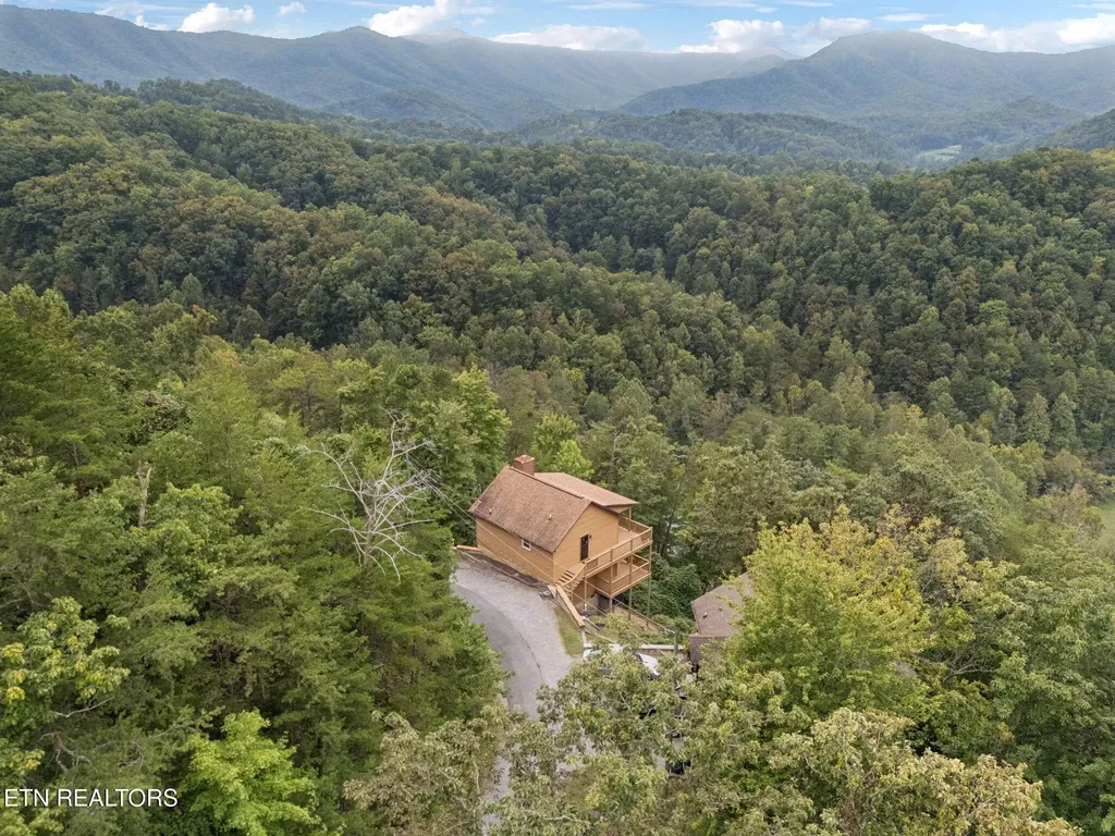 4429 New Pioneer Trail Pigeon Forge TN 37863