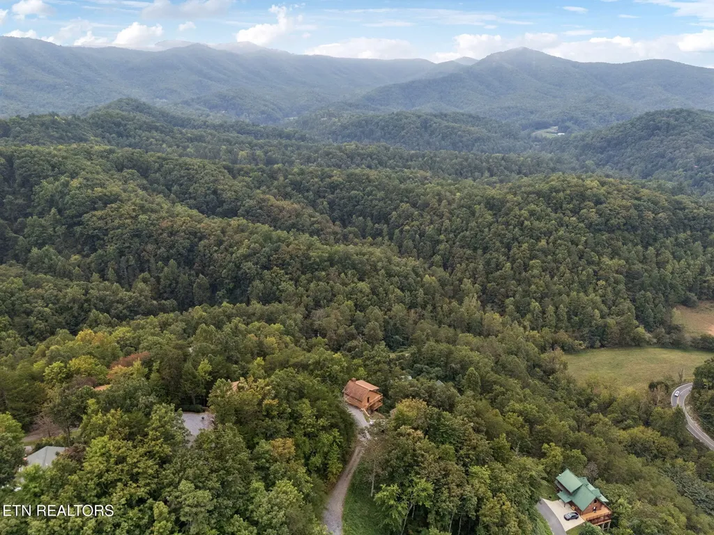 4429 New Pioneer Trail Pigeon Forge TN 37863