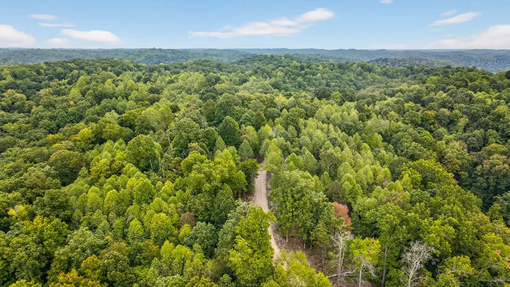 2480 Claylick Road Whites Creek TN 37189