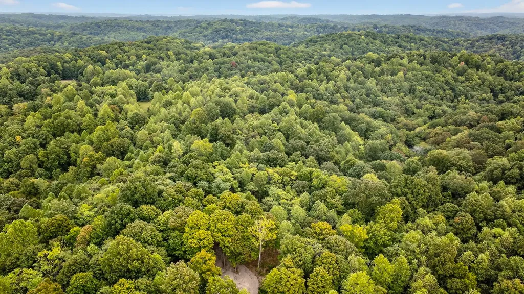 2480 Claylick Road Whites Creek TN 37189