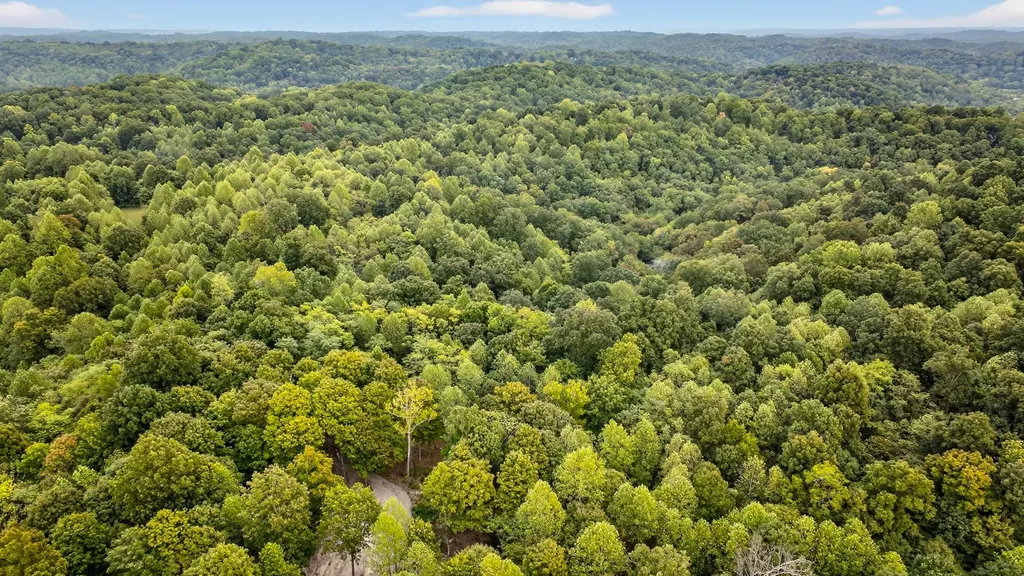 2480 Claylick Road Whites Creek TN 37189