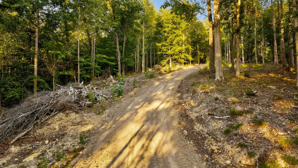 2480 Claylick Road Whites Creek TN 37189