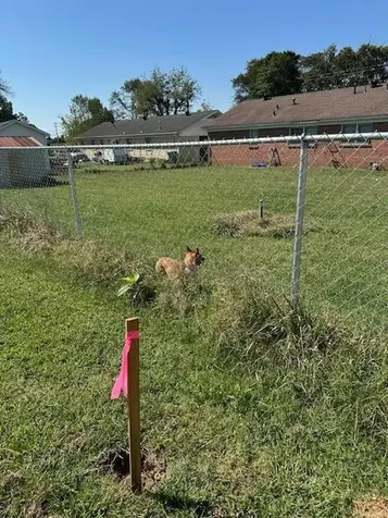 495 Rowland Mill Road Bruceton TN 38317