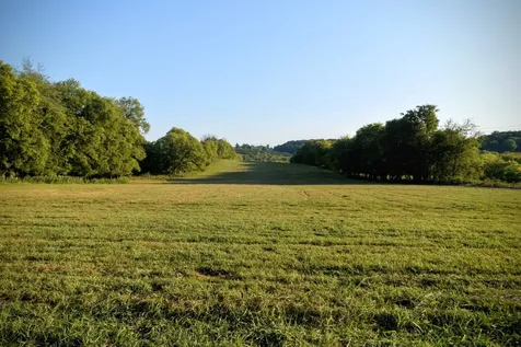 1 Mount Joy Road Mount Pleasant TN 38474