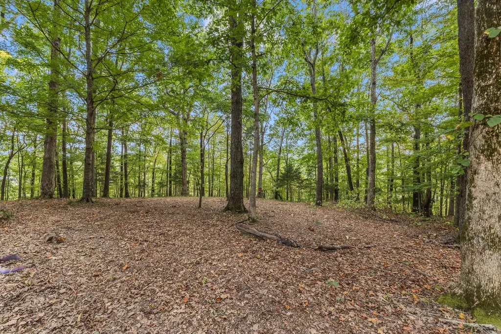 5192 Whitlow Mountain Road Ashland City TN 37015