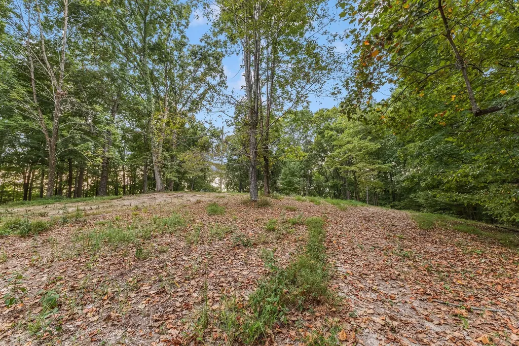 5192 Whitlow Mountain Road Ashland City TN 37015