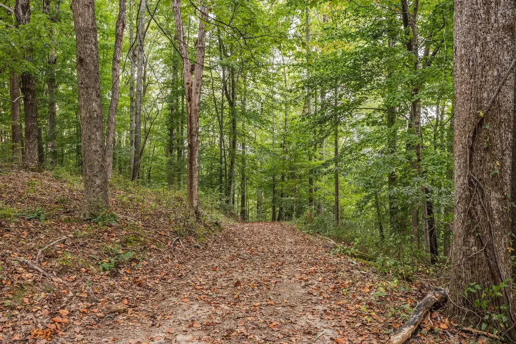 5192 Whitlow Mountain Road Ashland City TN 37015