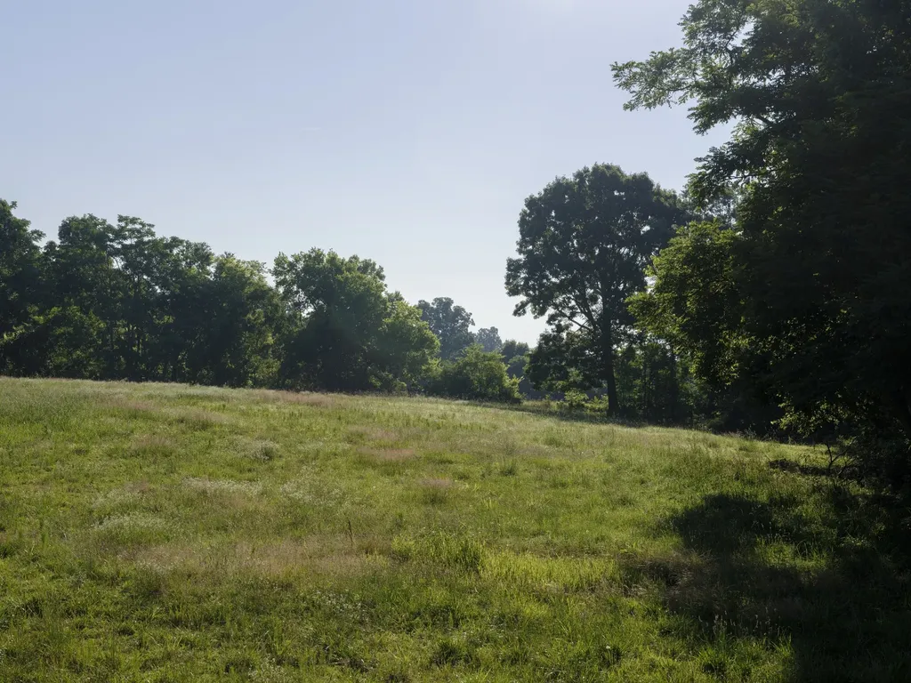 7725 Caney Fork Road Fairview TN 37062
