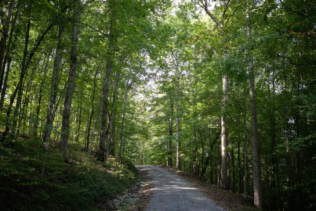 7725 Caney Fork Road Fairview TN 37062