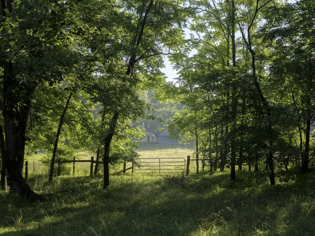 7725 Caney Fork Road Fairview TN 37062