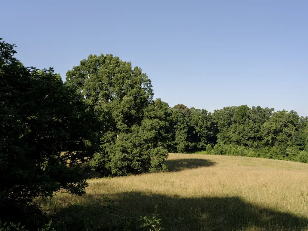 7725 Caney Fork Road Fairview TN 37062