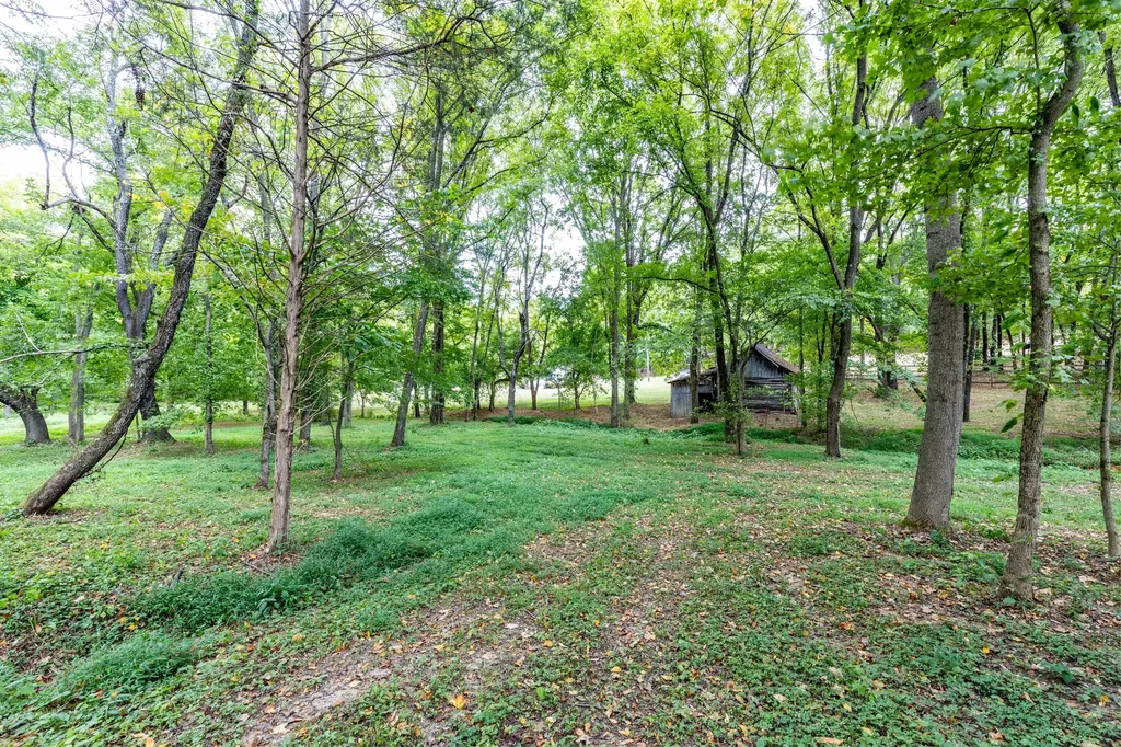 1502 New Deal Potts Road Portland TN 37148