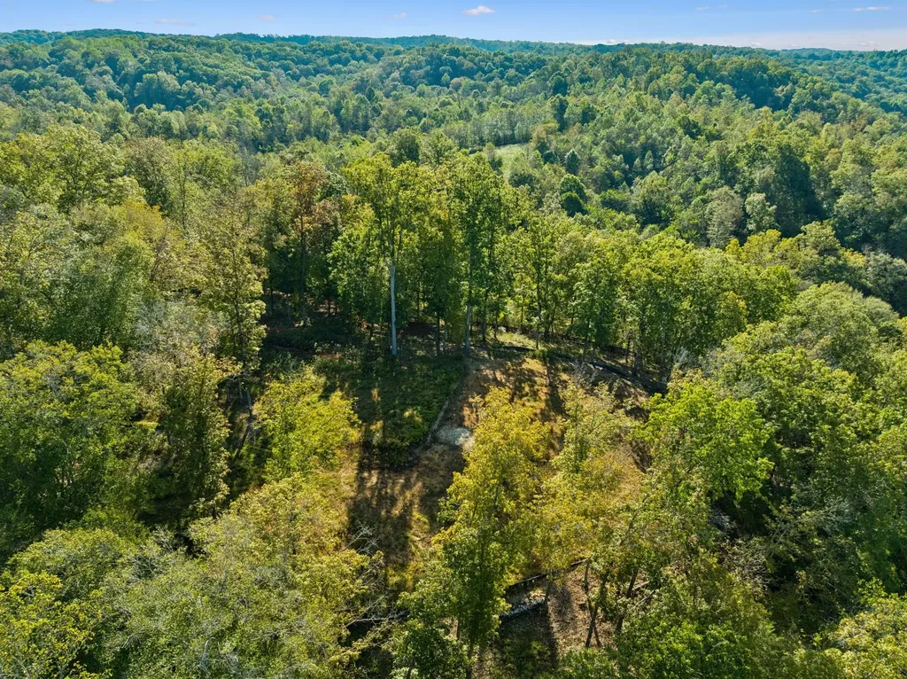 6017 Russell Ridge Lane Franklin TN 37064