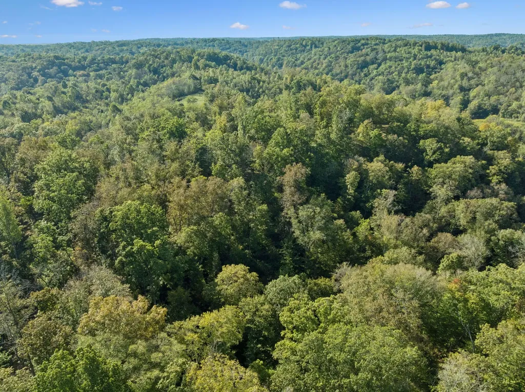 6017 Russell Ridge Lane Franklin TN 37064