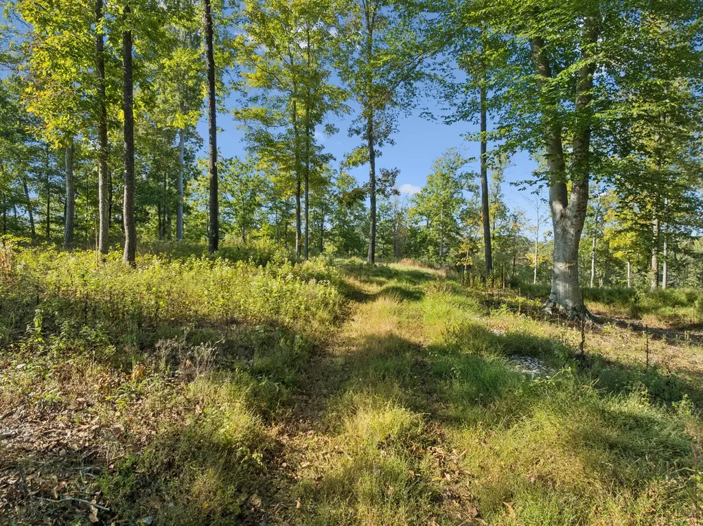 6017 Russell Ridge Lane Franklin TN 37064