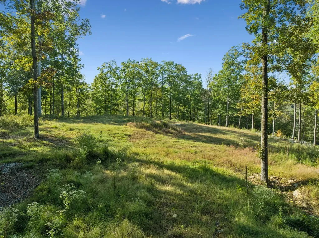 6017 Russell Ridge Lane Franklin TN 37064
