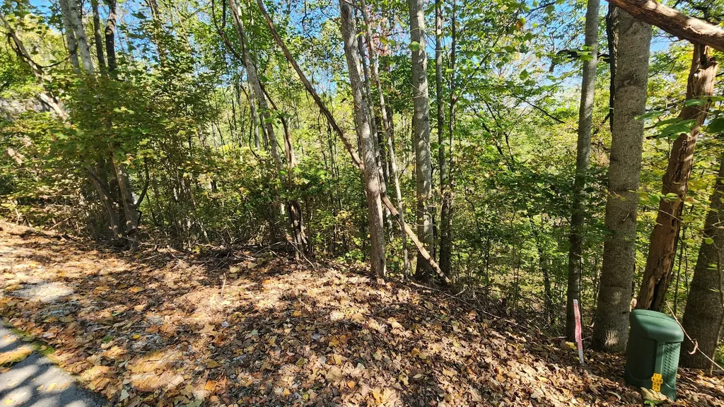 0 Bay View Drive Lancaster TN 38569