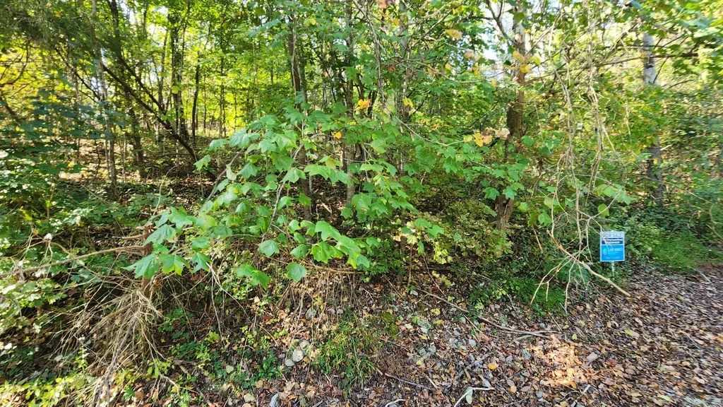 0 Bay View Drive Lancaster TN 38569