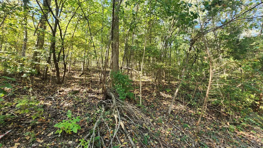 0 Bay View Drive Lancaster TN 38569