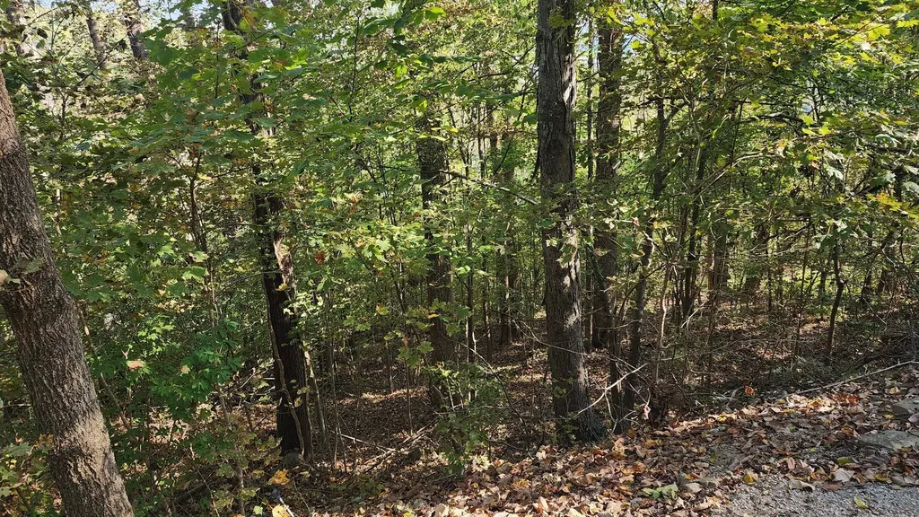 0 Bay View Drive Lancaster TN 38569