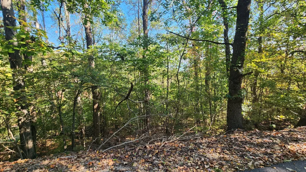 0 Bay View Drive Lancaster TN 38569