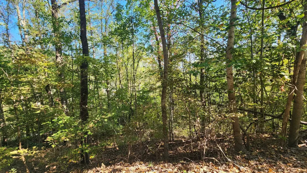 0 Bay View Drive Lancaster TN 38569