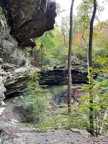 1651 Lake Louisa Loop Monteagle TN 37356