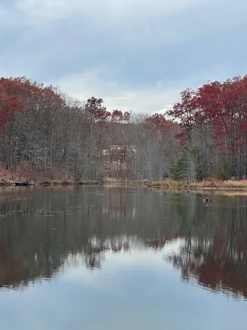 1651 Lake Louisa Loop Monteagle TN 37356