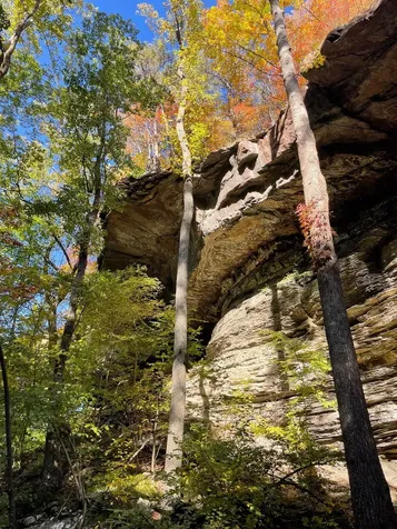 1651 Lake Louisa Loop Monteagle TN 37356