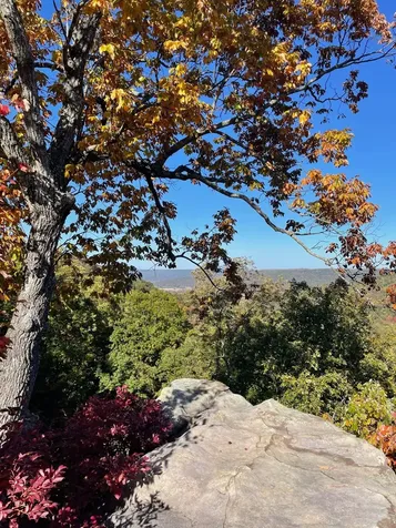 1651 Lake Louisa Loop Monteagle TN 37356