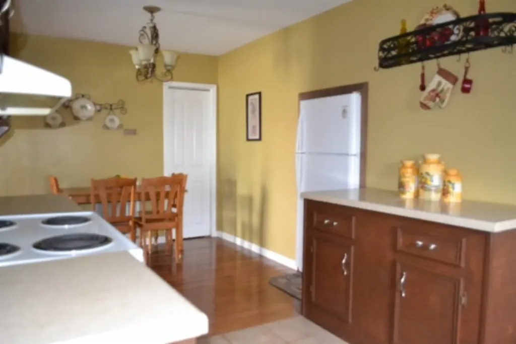 218 E Lake Avenue Celina TN 38551