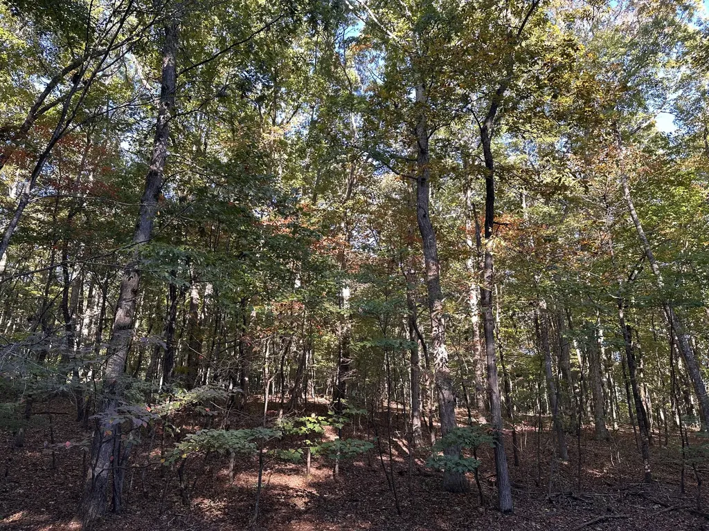 0 Azalea Lane Mc Minnville TN 37110