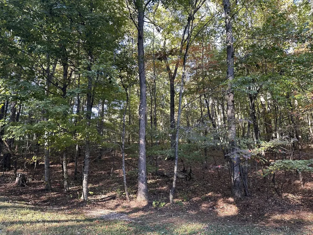 0 Azalea Lane Mc Minnville TN 37110