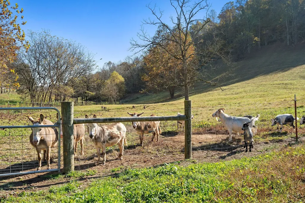 183 Puncheon Camp Lane Bell Buckle TN 37020