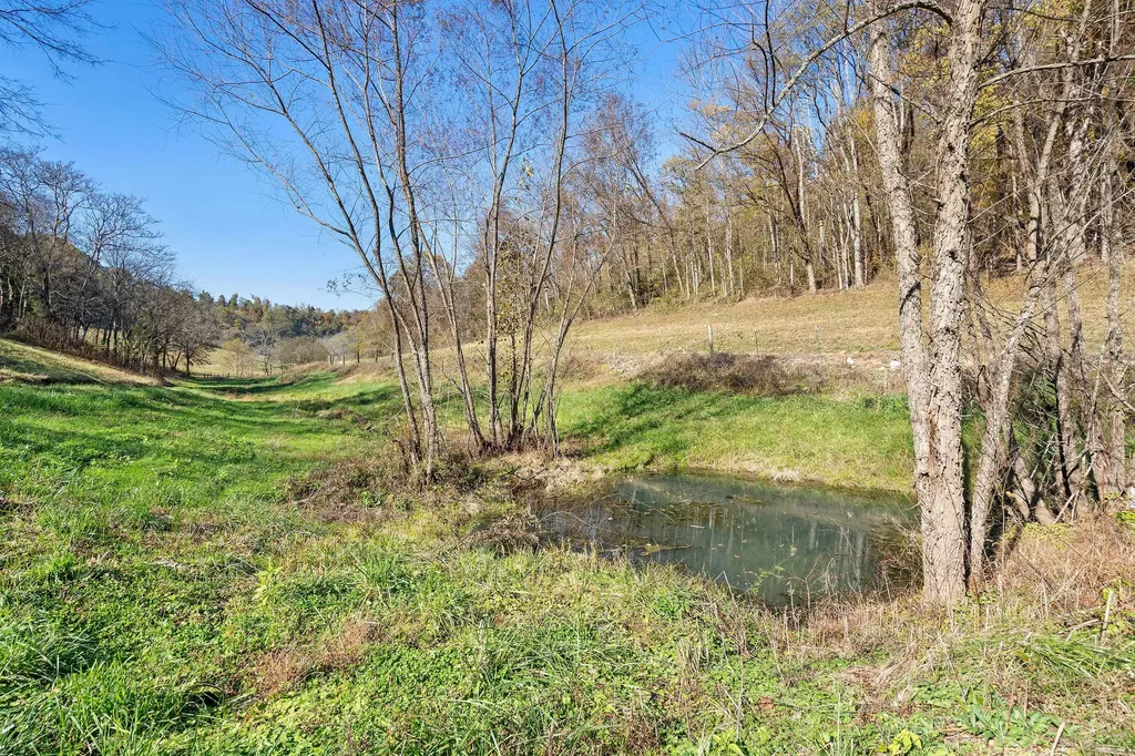 183 Puncheon Camp Lane Bell Buckle TN 37020