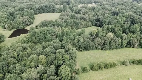 5128 Louise Road Cumberland Furnace TN 37051