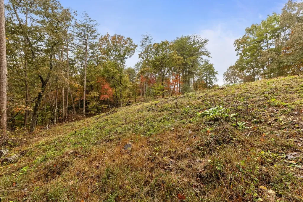 0 Countryside Drive Dunlap TN 37327