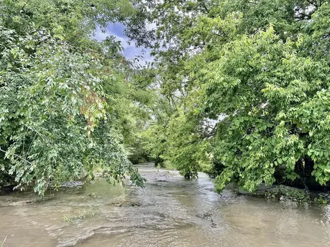 445 Puckett Road Watertown TN 37184
