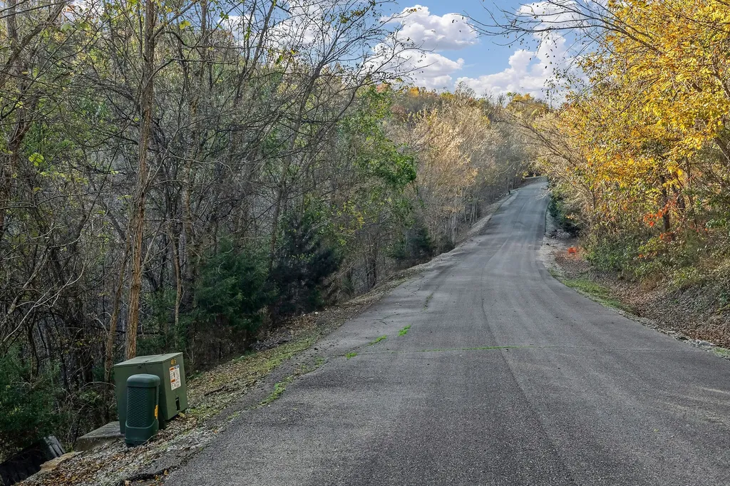0 Blackberry Ridge Way Smithville TN 37166